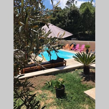 Logement attenant à une villa T2 avec terrasse . Besse-sur-Issole Exterior foto